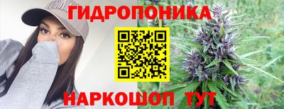 ГАЛЛЮЦИНОГЕННЫЕ ГРИБЫ Нальчик