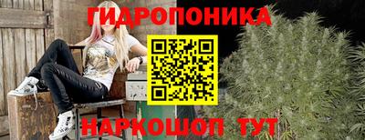 ГАЛЛЮЦИНОГЕННЫЕ ГРИБЫ Нальчик